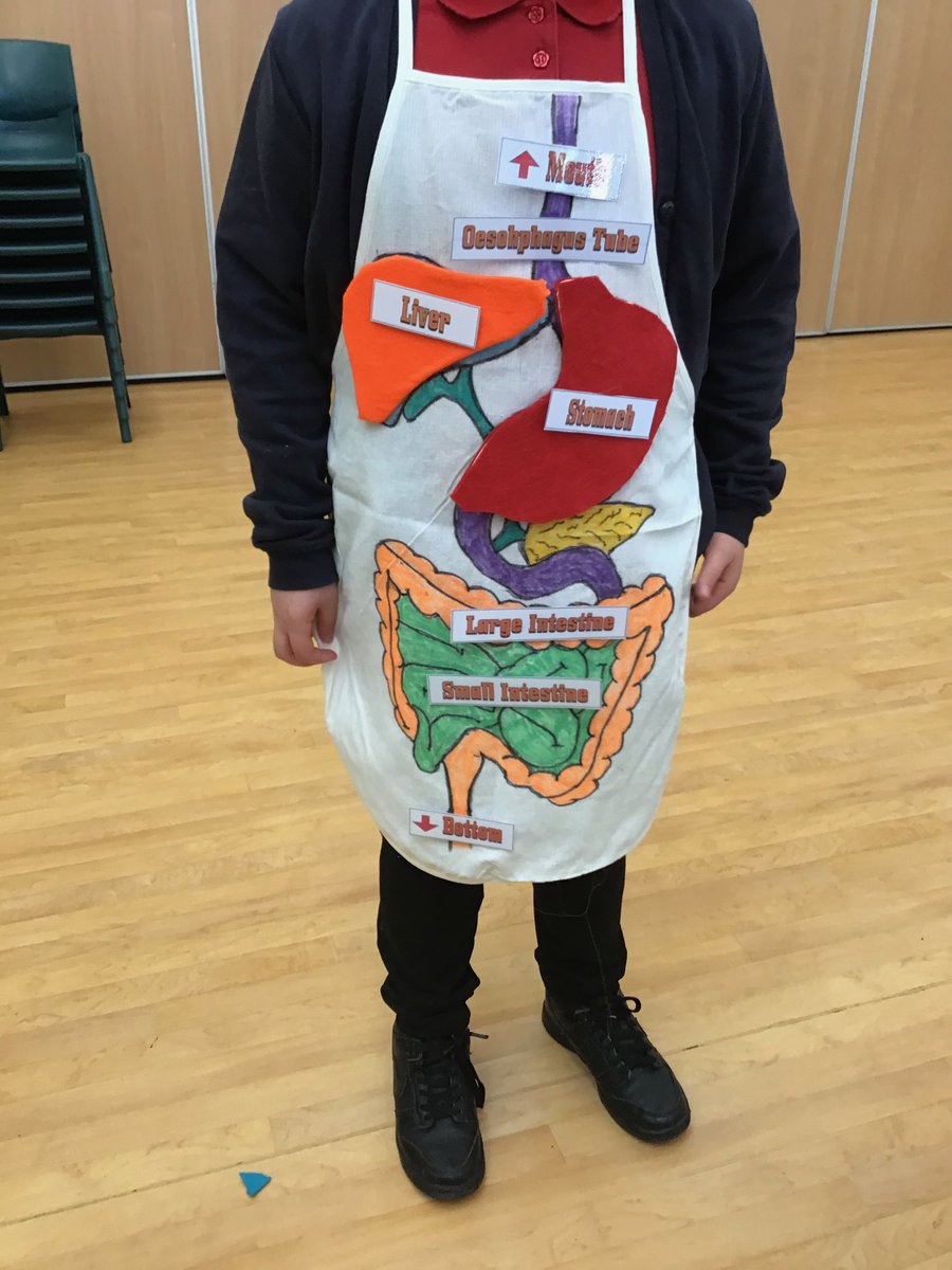 Rotherhamcreat2's tweet image. A fab morning with YR4 children and families for our Human Body family learning session @KimberworthPri1 We explored the Digestive System. We designed a digestive system apron and also conducted a digestive system experiment.  #fabulousfamilies #learningtogether #science