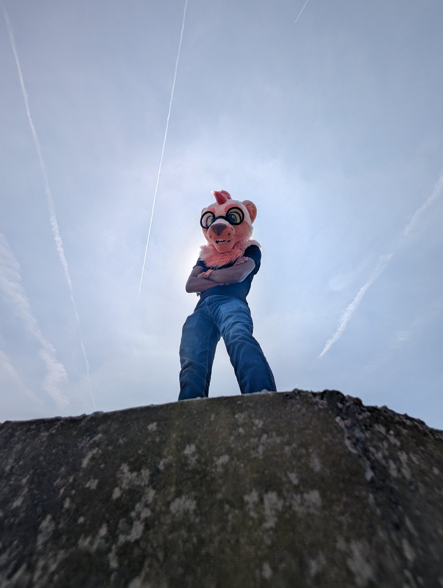 Aloy_Deer's tweet photo. The tall omnipotent Pink Otter
@PrettypinkOtt 
 📸: Me https://t.co/0EviCB8ApU