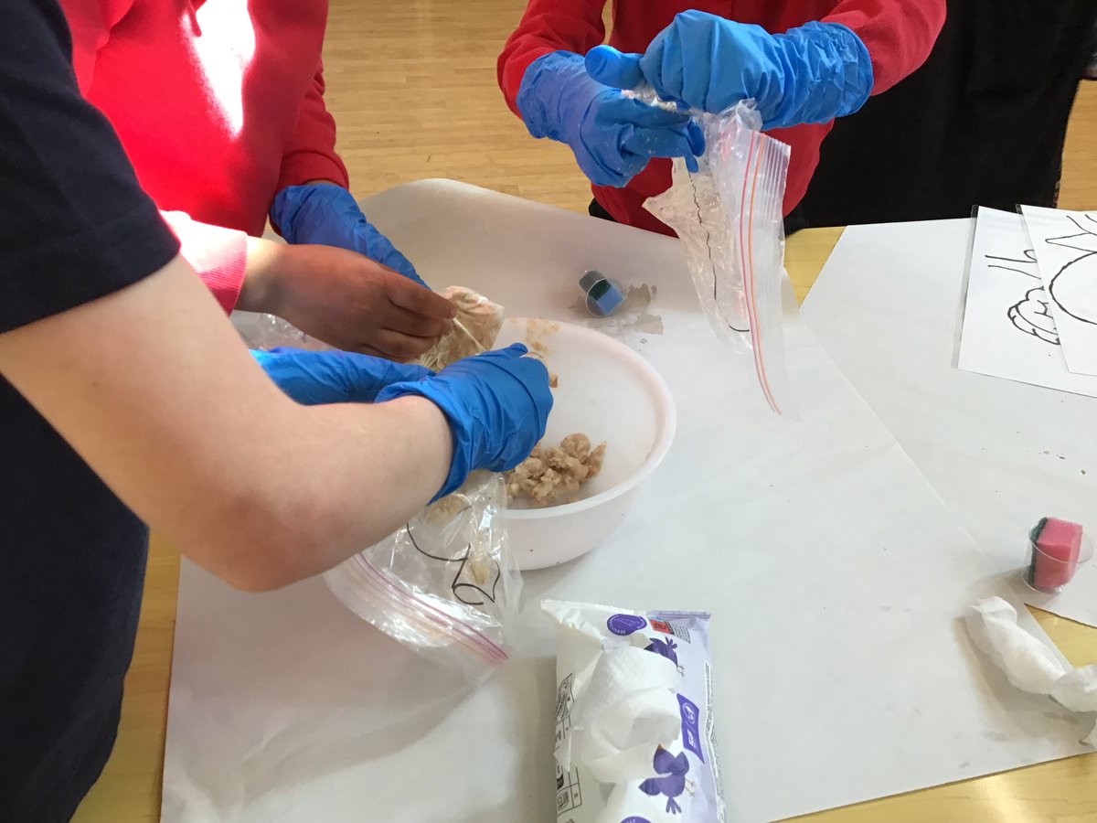 Rotherhamcreat2's tweet image. A fab morning with YR4 children and families for our Human Body family learning session @KimberworthPri1 We explored the Digestive System. We designed a digestive system apron and also conducted a digestive system experiment.  #fabulousfamilies #learningtogether #science