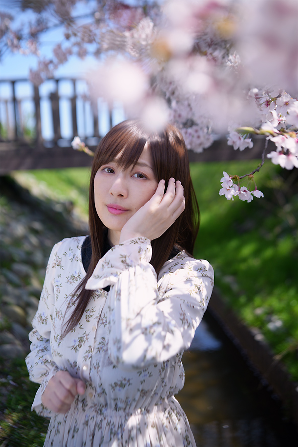 ryuseizoo's tweet photo. 「　ハナグハシ　」
桜ロケは2年ぶりでした。
model:密さん
SONY α7ⅳ+Batis40 2/40 CF
#ポートレート #ポートレートモデル #桜ポトレ #ZEISS #Batis40mm https://t.co/AatybDX0yW