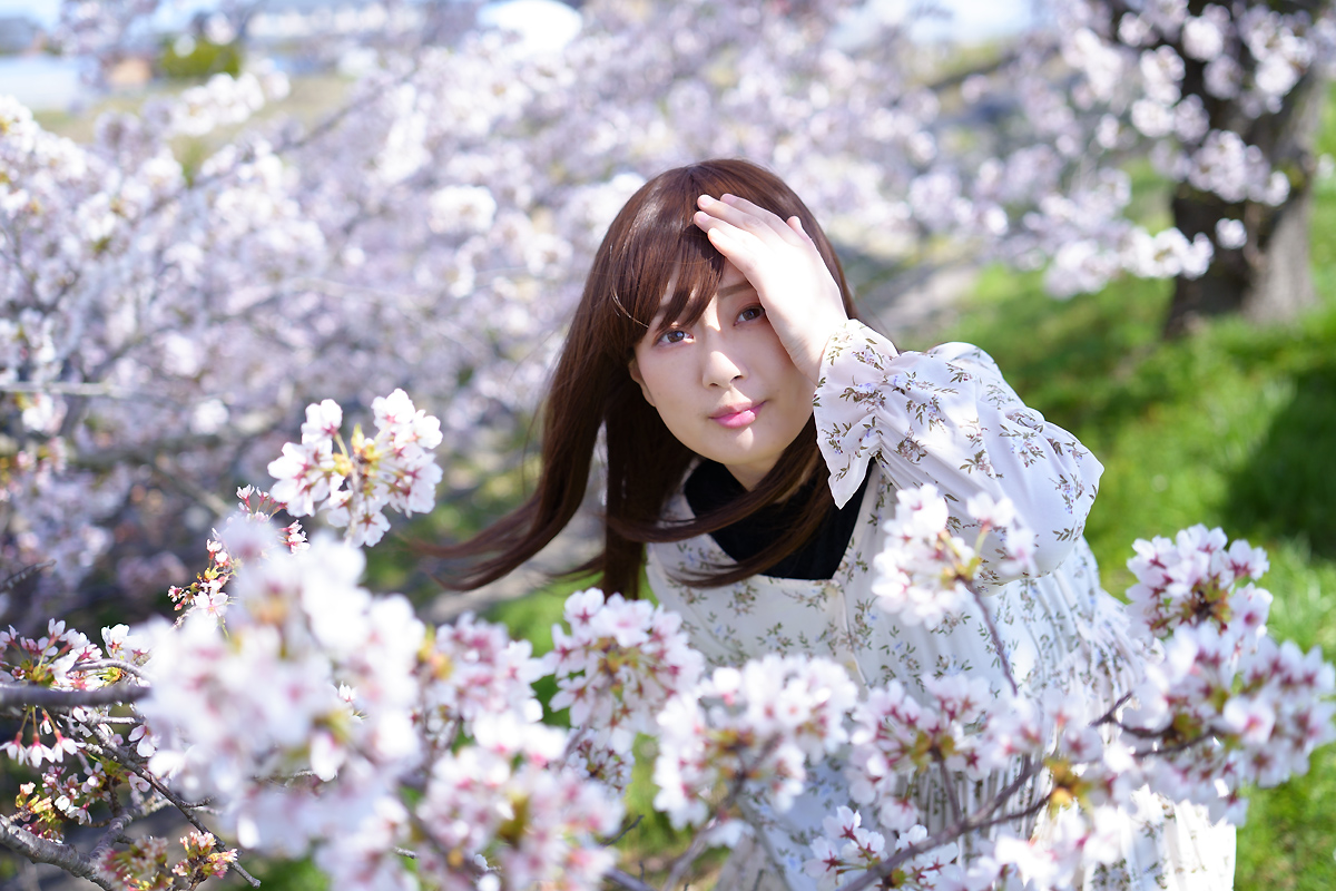 ryuseizoo's tweet photo. 「　ハナグハシ　」
桜ロケは2年ぶりでした。
model:密さん
SONY α7ⅳ+Batis40 2/40 CF
#ポートレート #ポートレートモデル #桜ポトレ #ZEISS #Batis40mm https://t.co/AatybDX0yW