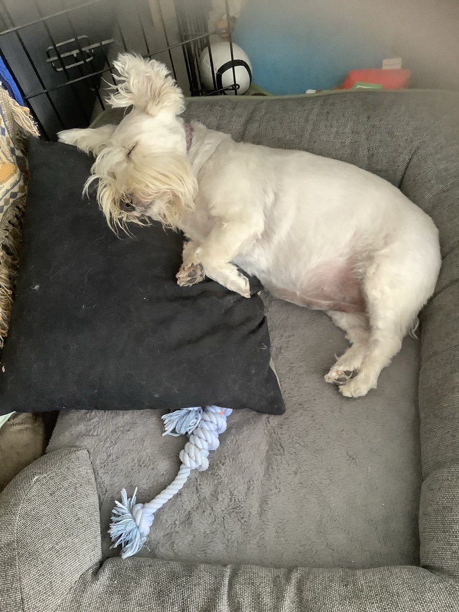 Maggie giver of hugs & goodwill. tweet media