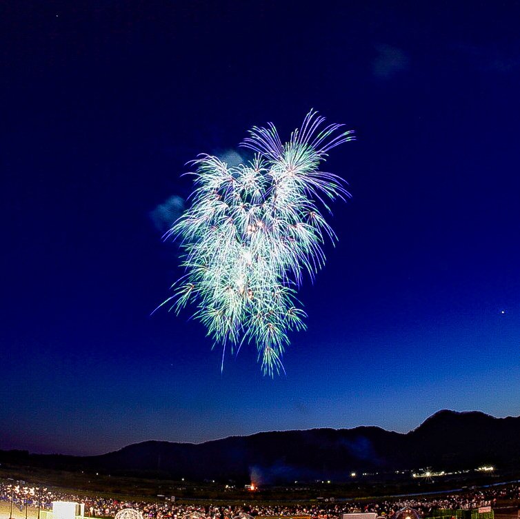 ひで。 tweet media