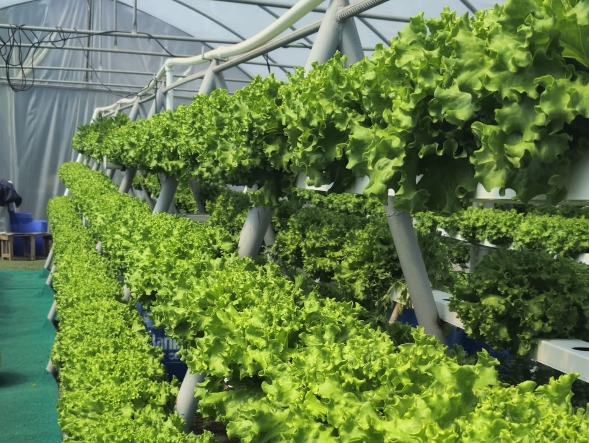 ümit kahyaoğlu tweet media