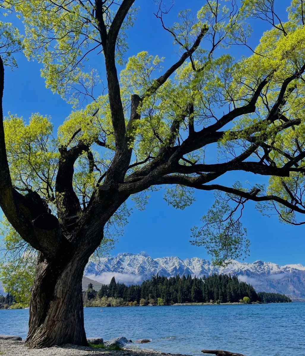 𝑙𝑖𝑙𝑦𝑎 tweet media