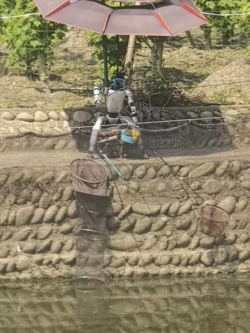 memecoin tweet media