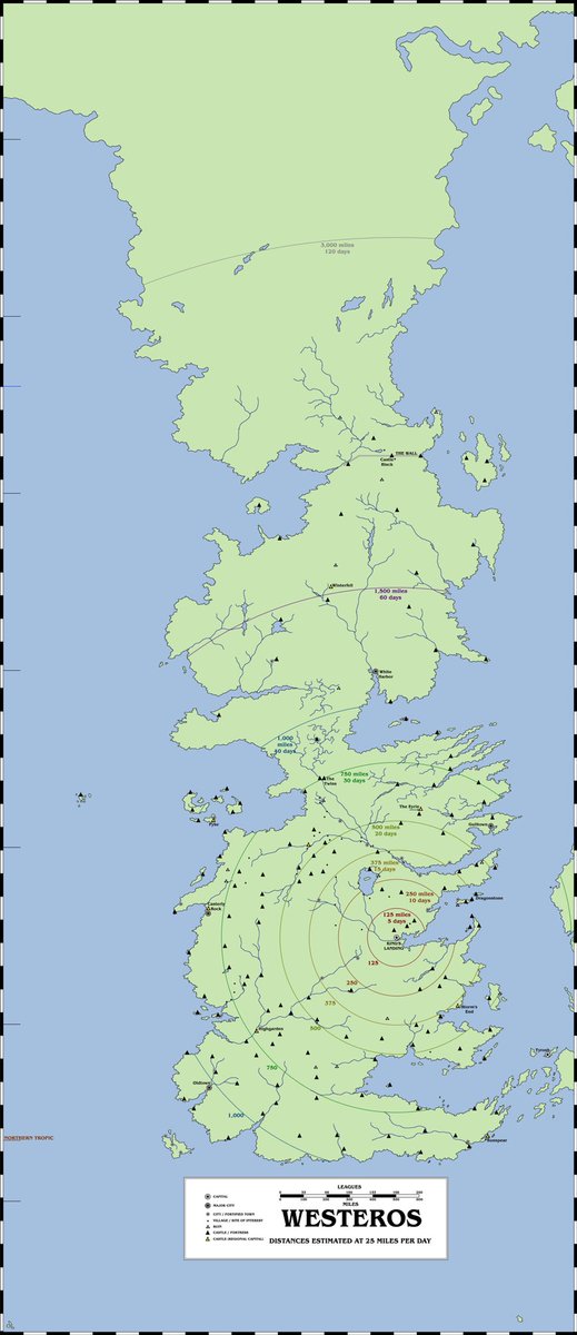 ellie 🐉 tweet media