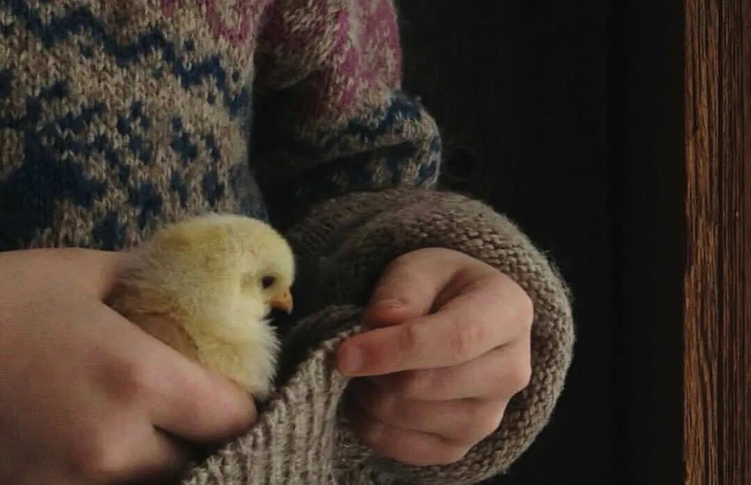 رسائل لم تُبعث tweet media