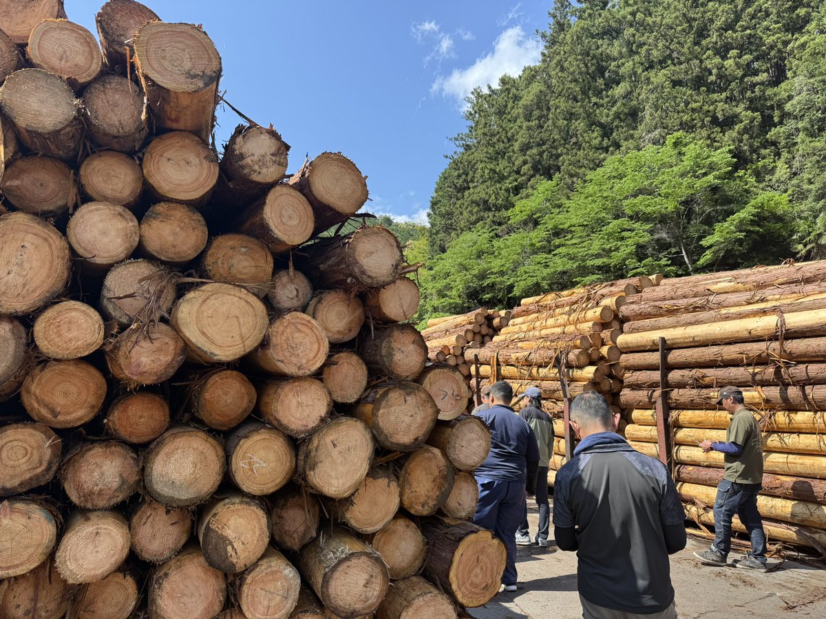 確実に言えることは資材不足と高騰で、木材需要の7割を占める住宅着工