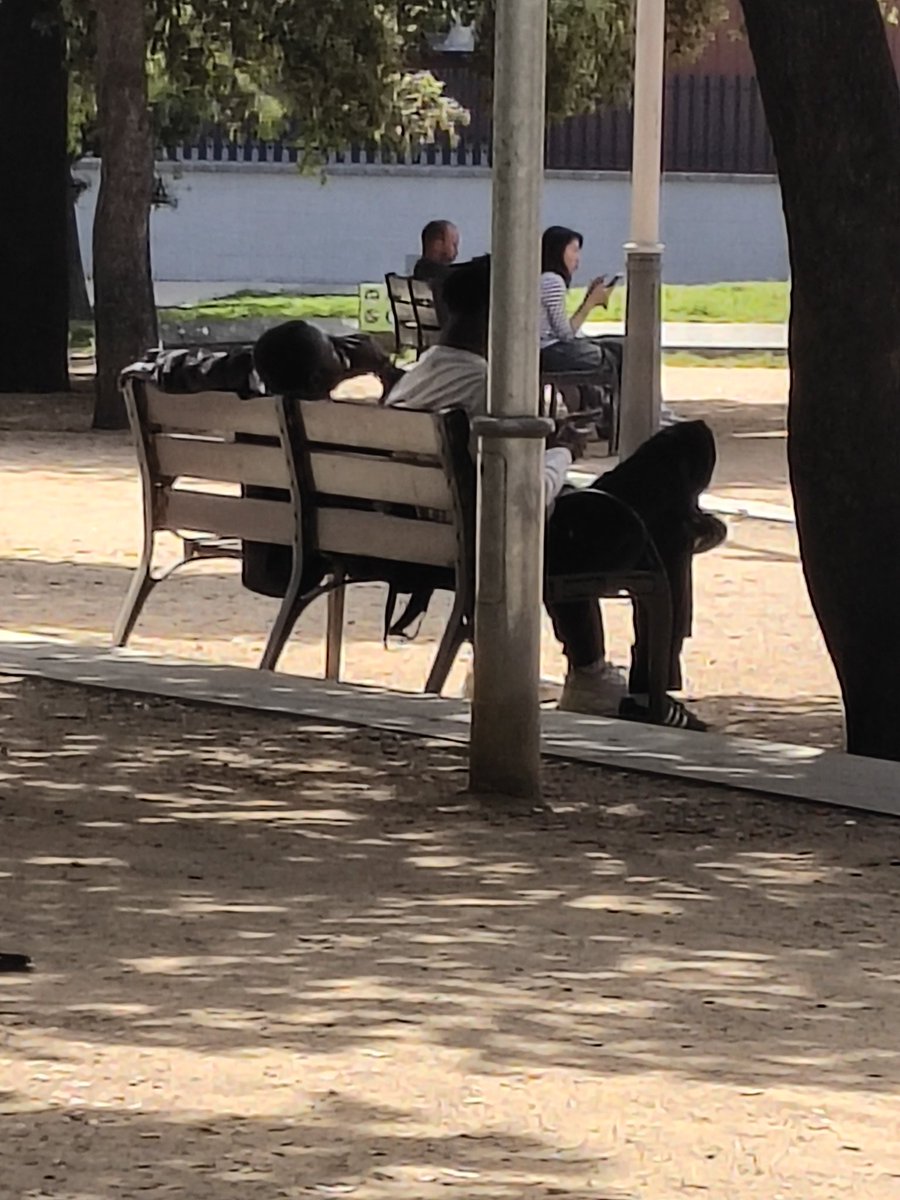 Sirenaterrestre tweet media