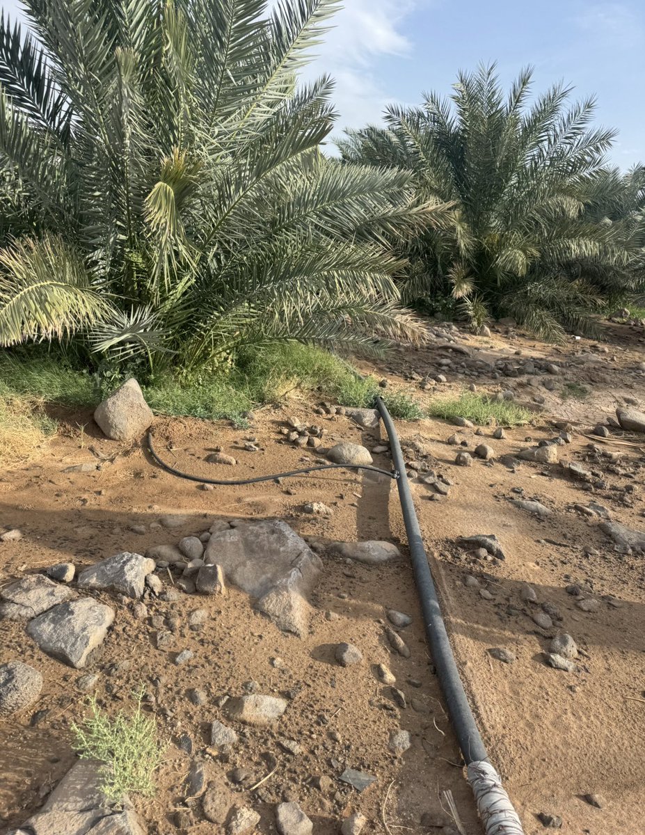 الحربي للتسويق العقاري tweet media