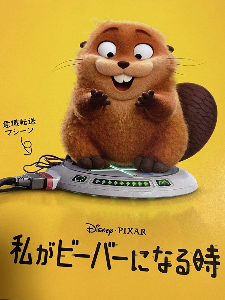 ビーバー🦫の時代が来たのでしょうか…🤭