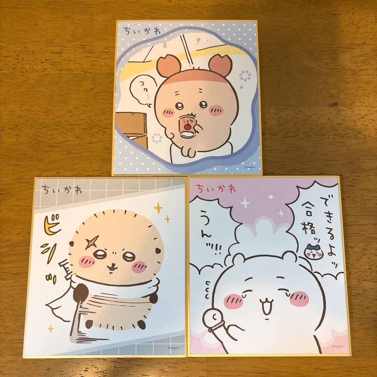 クマ吾郎 tweet media
