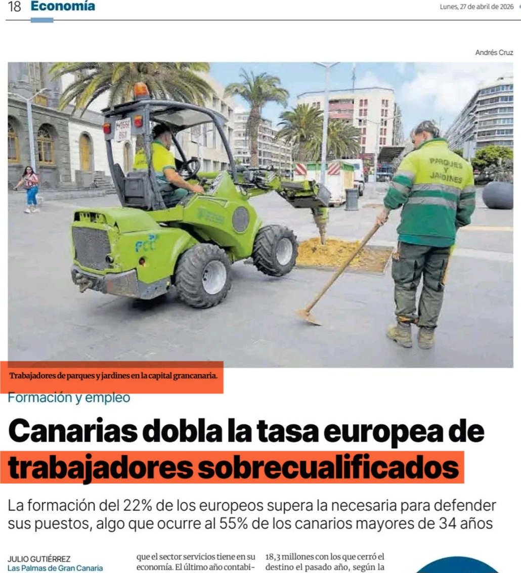 LosVigilantesDeLosÁrboles tweet media