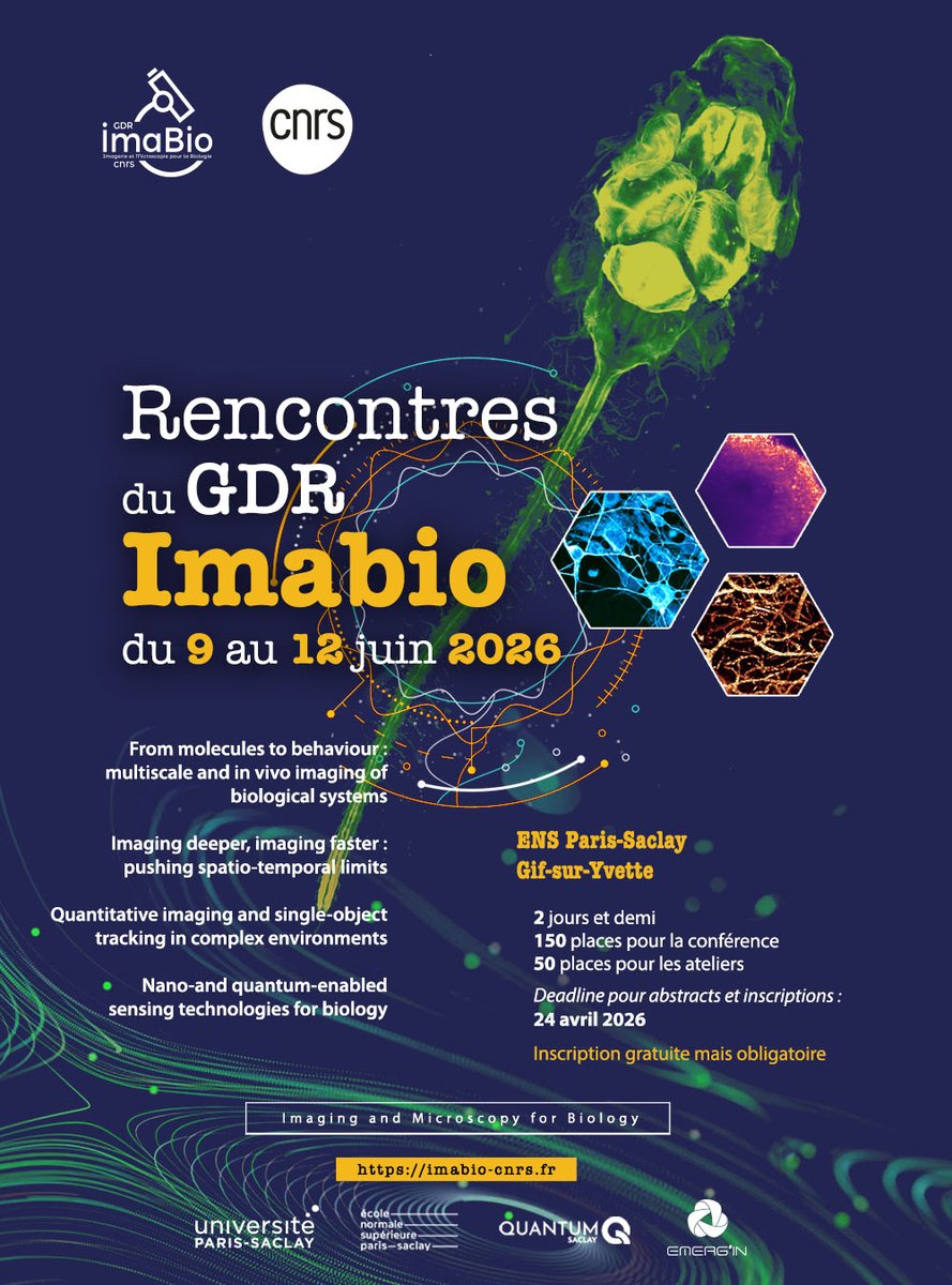 GDR ImaBio tweet media