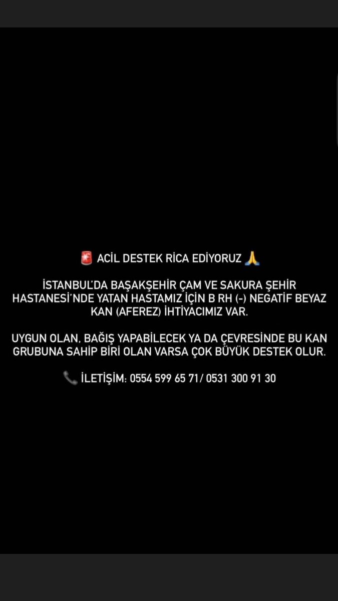 marceline proust 🌺 tweet media