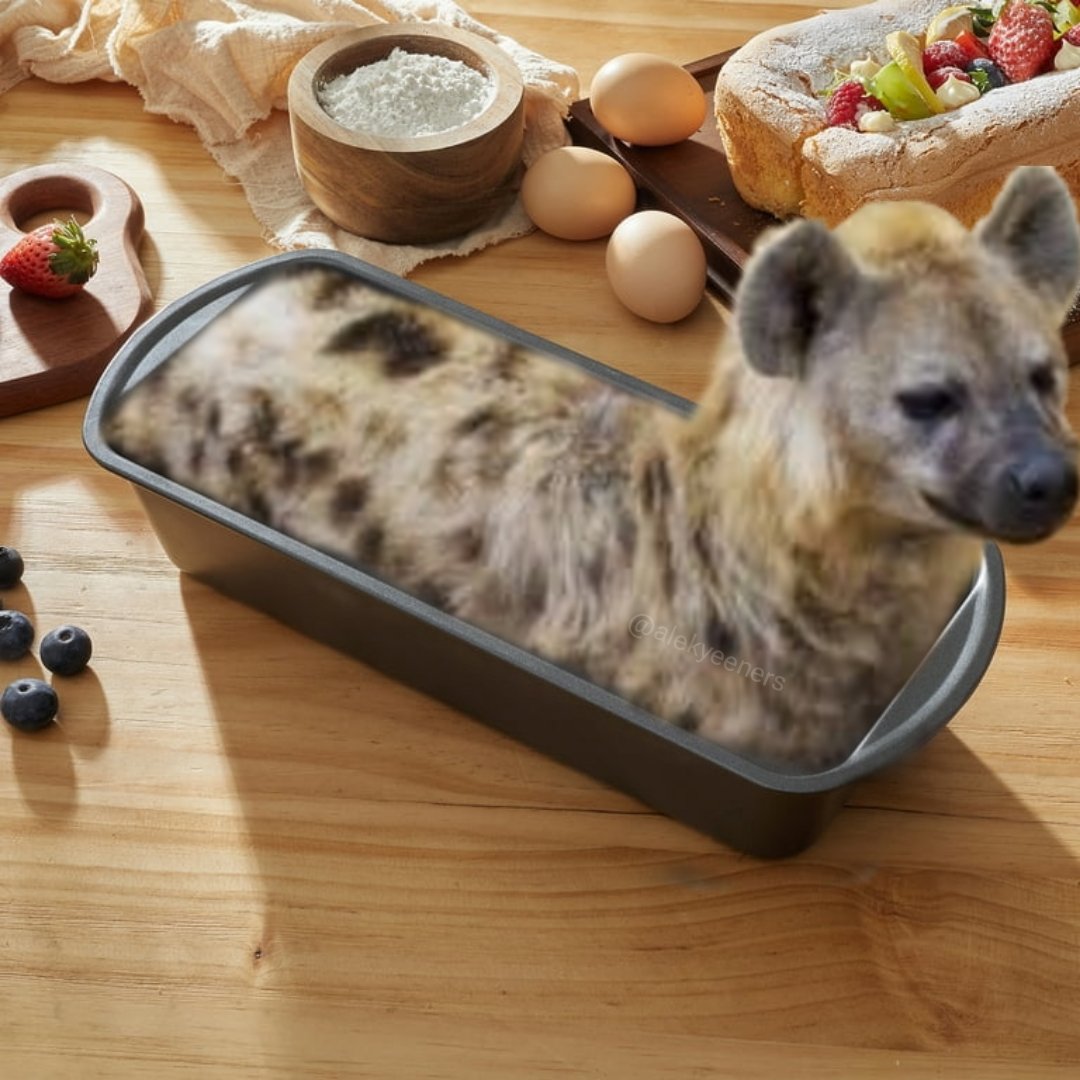 𝕊𝕡𝕣𝕠𝕦𝕥𝕤 tweet media