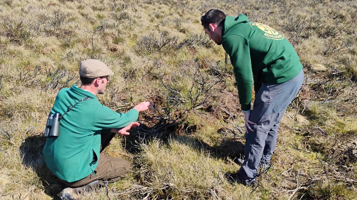 Pau Costa Foundation tweet media