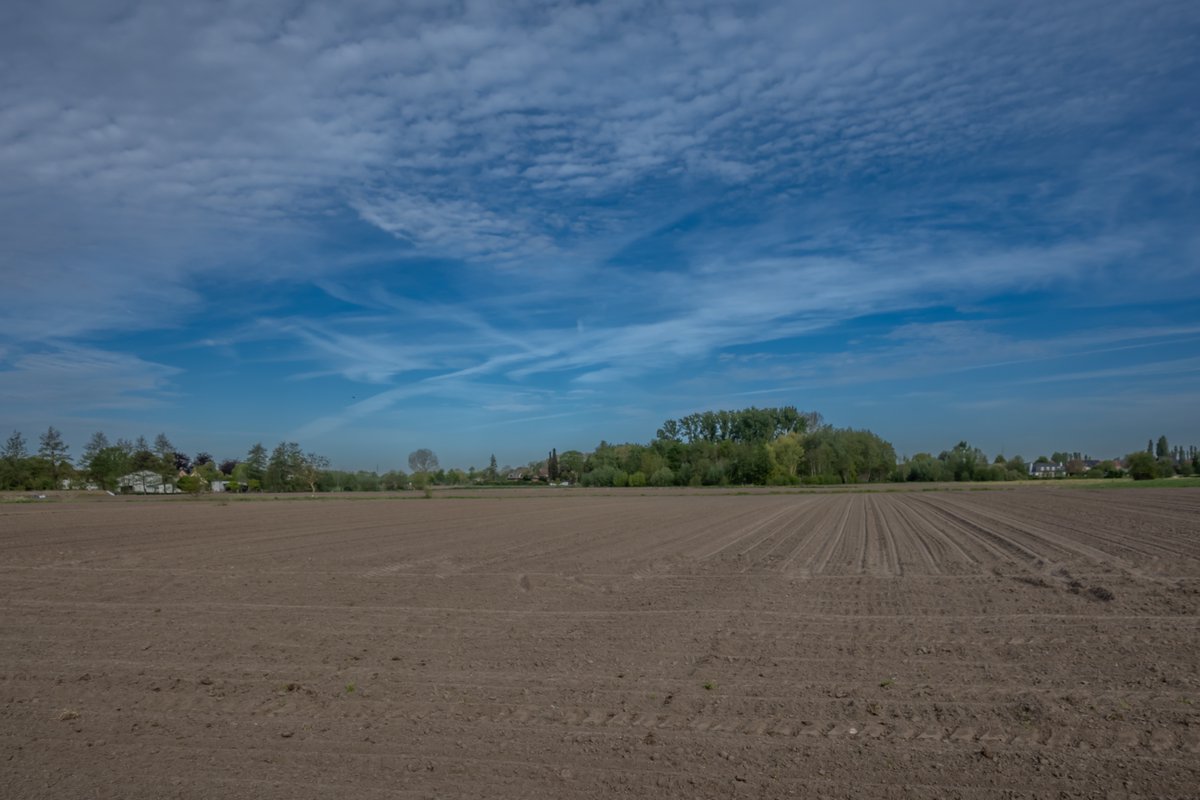 MWezemael's tweet image. #vrtweer #weerfoto @meteoBram #lente #nikonphotography #weatherphotography #Hamme 09u50