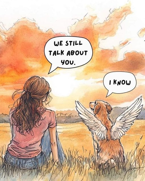 Best in Dogs tweet media