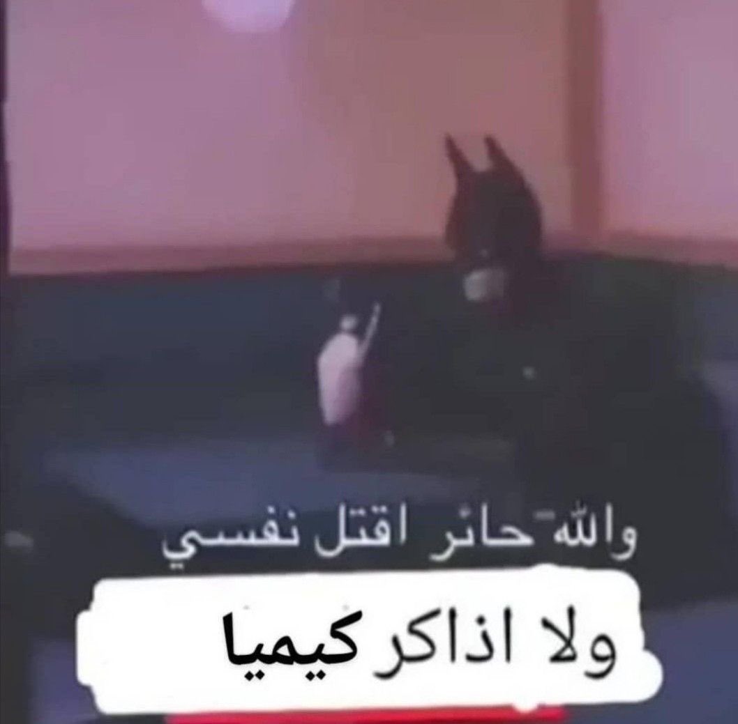 saleh 100%| gap year tweet media