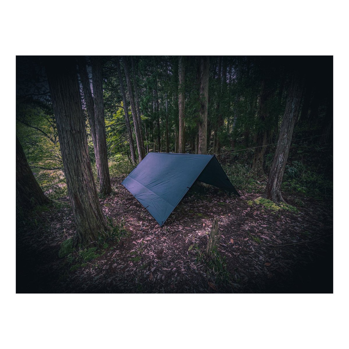 masa2896ys's tweet photo. 3泊4日のキャンプ総集編🏕️
１日目 https://t.co/MHjRRro1UA