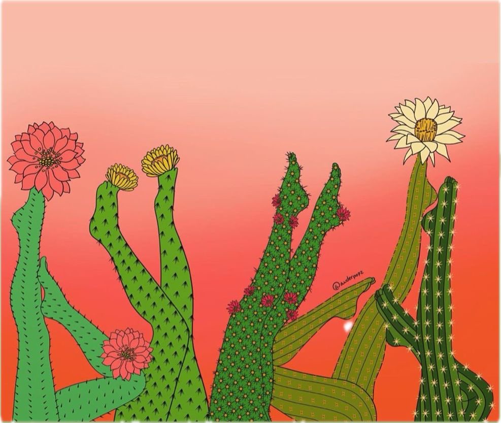 Brooke Albany tweet media