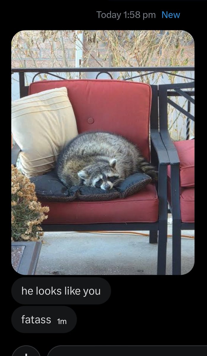 Why you should have a Raccoon tweet media