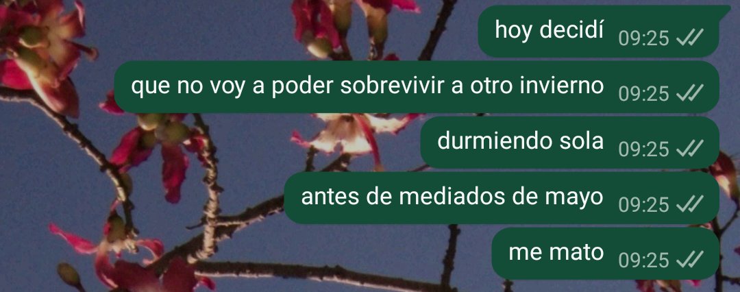 Biann061's tweet photo. así tal cual https://t.co/FTtIObyTIA