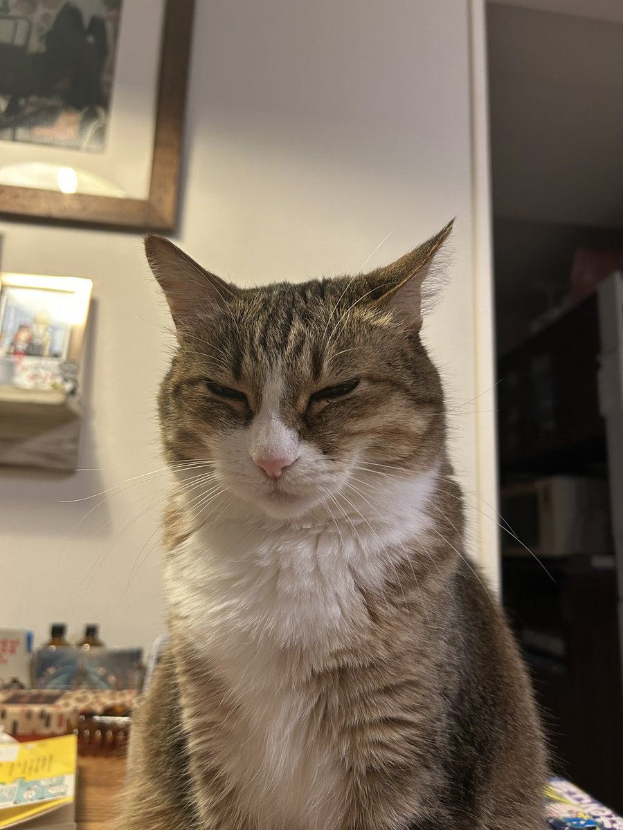 じょの（Jono） tweet media