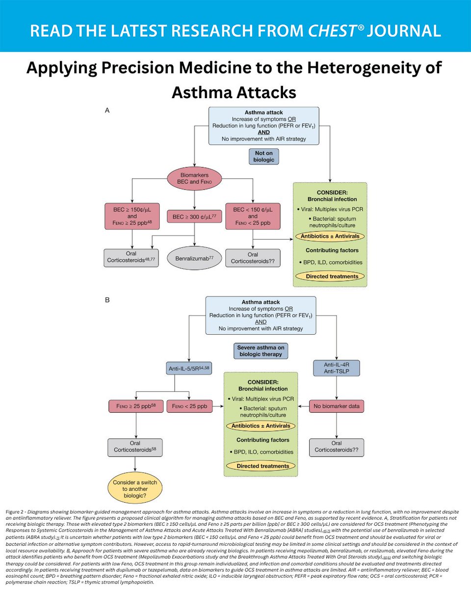 accpchest's tweet image. A CHEST Review explores asthma exacerbation heterogeneity and discusses current and emerging management strategies, including precision medicine in acute asthma.

Read more in the April issue of the journal CHEST®: hubs.la/Q04cPHb20
#MedEd #JournalCHEST #Asthma
