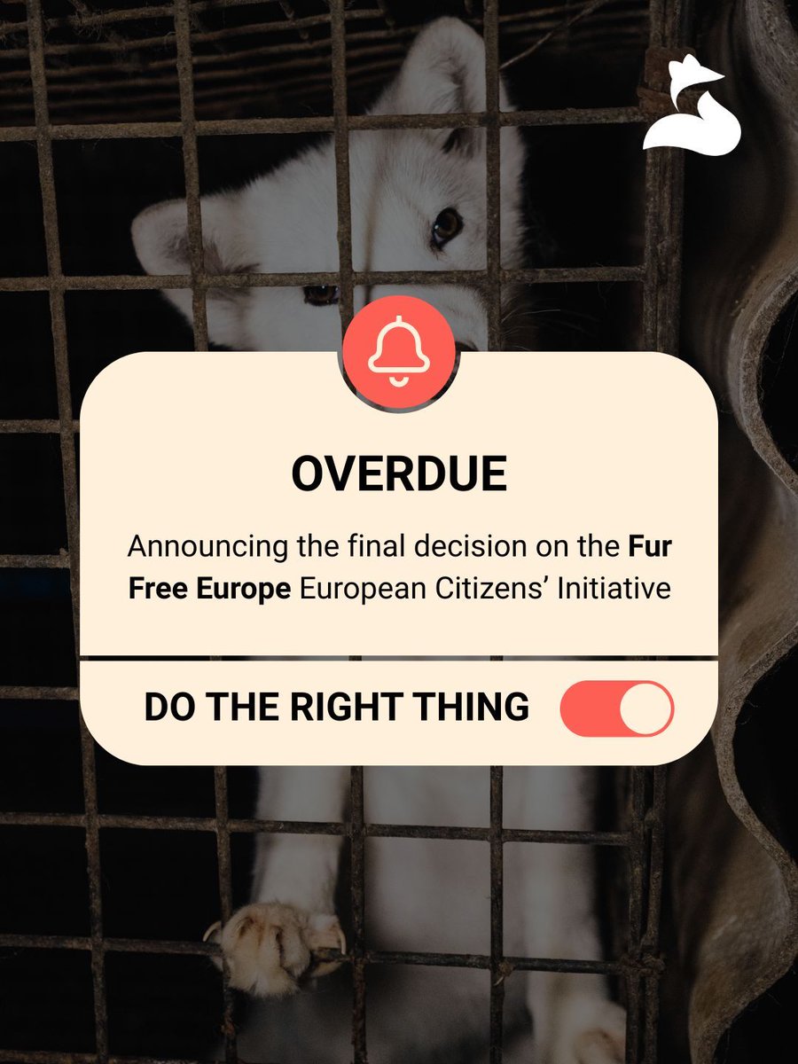 Eurogroup For Animals tweet media