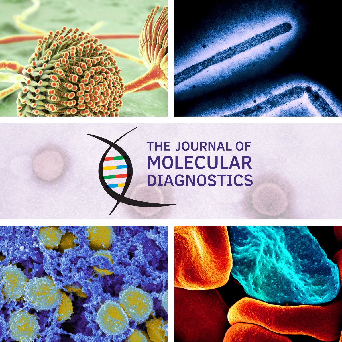 Association for Molecular Pathology tweet media