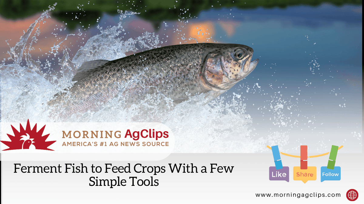 Ag Clips tweet media