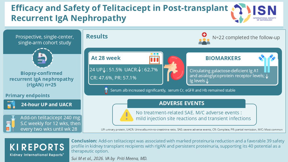 KIReports's tweet image. Efficacy and Safety of #Telitacicept in #Posttransplant Recurrent #IgA Nephropathy

#VisualAbstract by @priti899