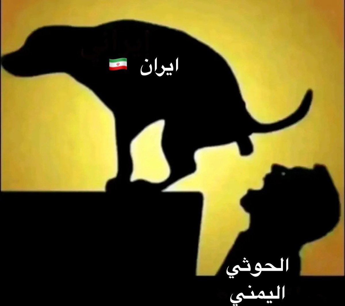 إحتراف الأسهم tweet media