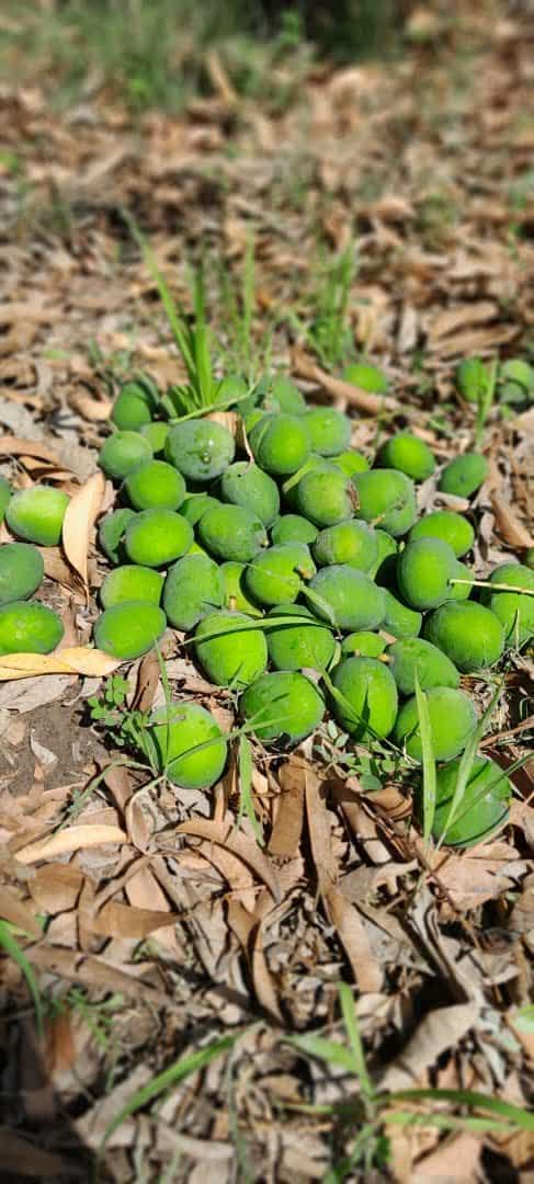 ذوالــفـــقـــارحــــیـــدر🚩(اکانت جدید) tweet media