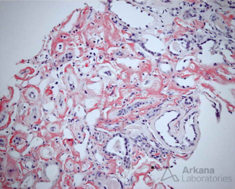 Arkana Laboratories tweet media
