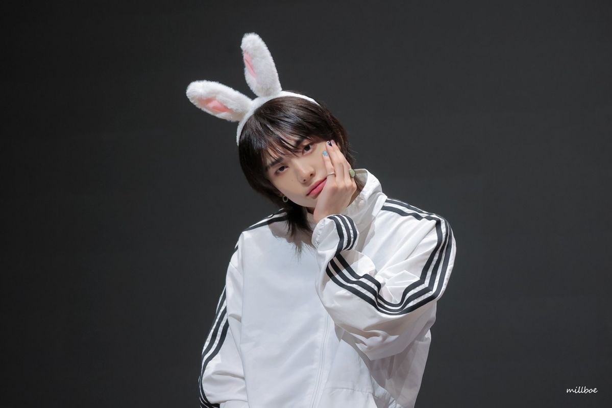 🐰