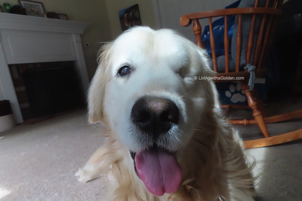 Chuck Billy & Asa tweet media