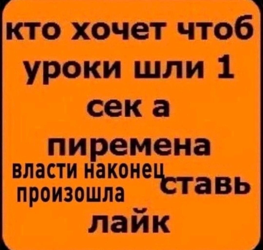геми🦎 tweet media