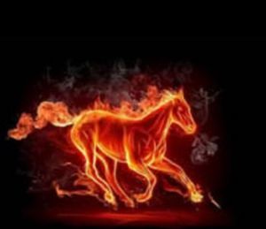 Sdらいじんr=hfr= tweet media