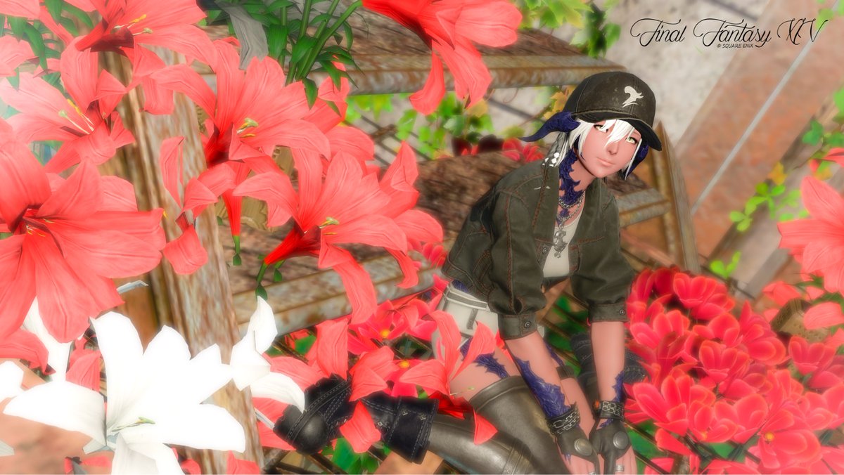 さ〜にゃ🜸7.3済 tweet media