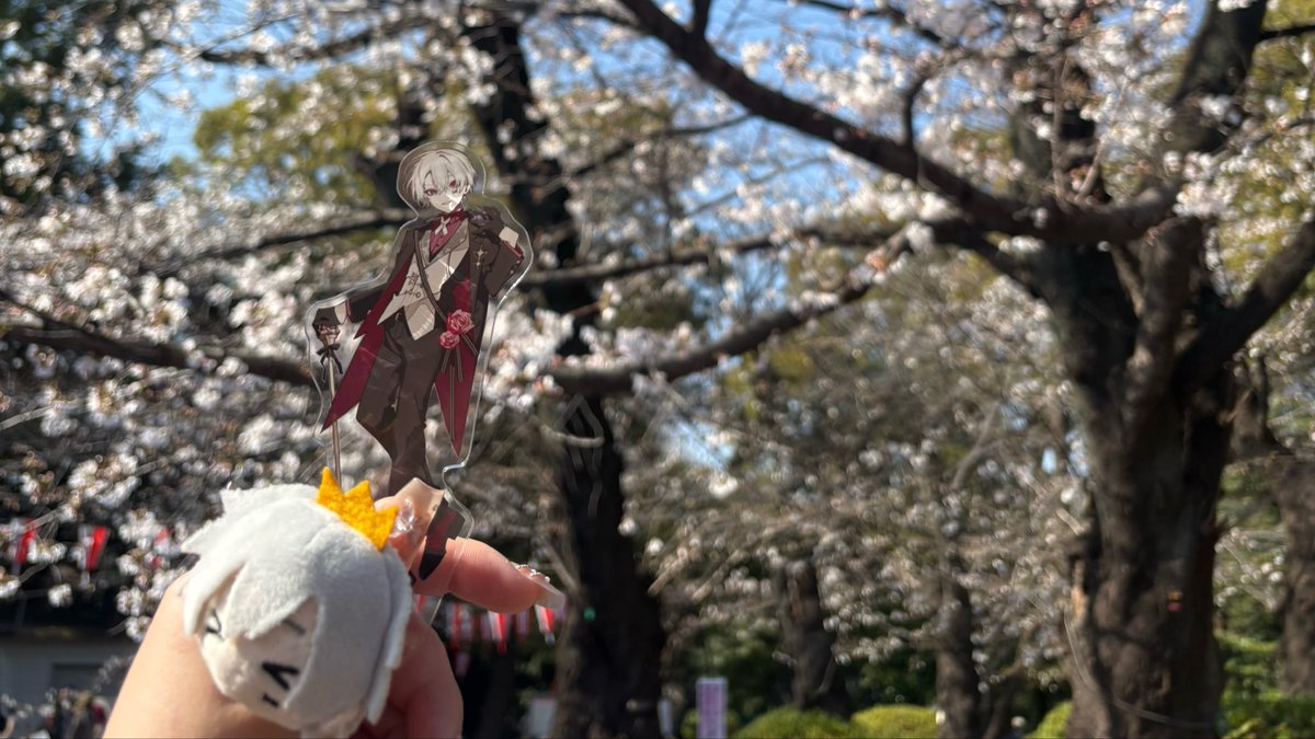 つな。 tweet media
