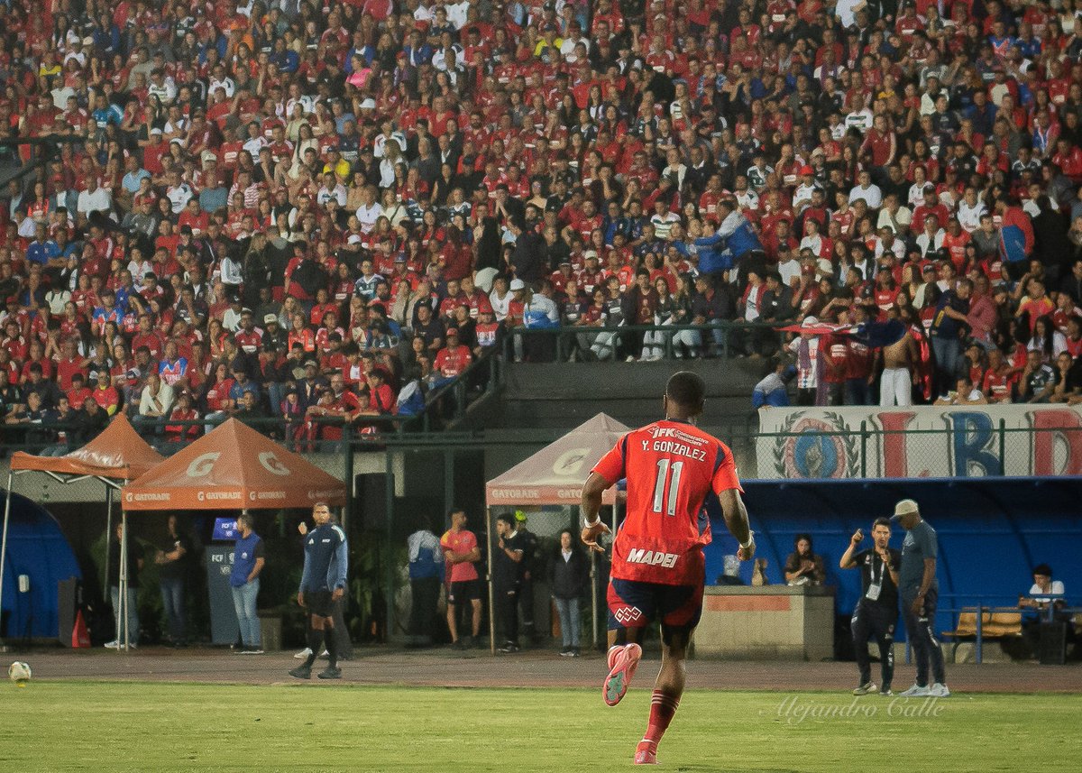 alejandro calle tweet media