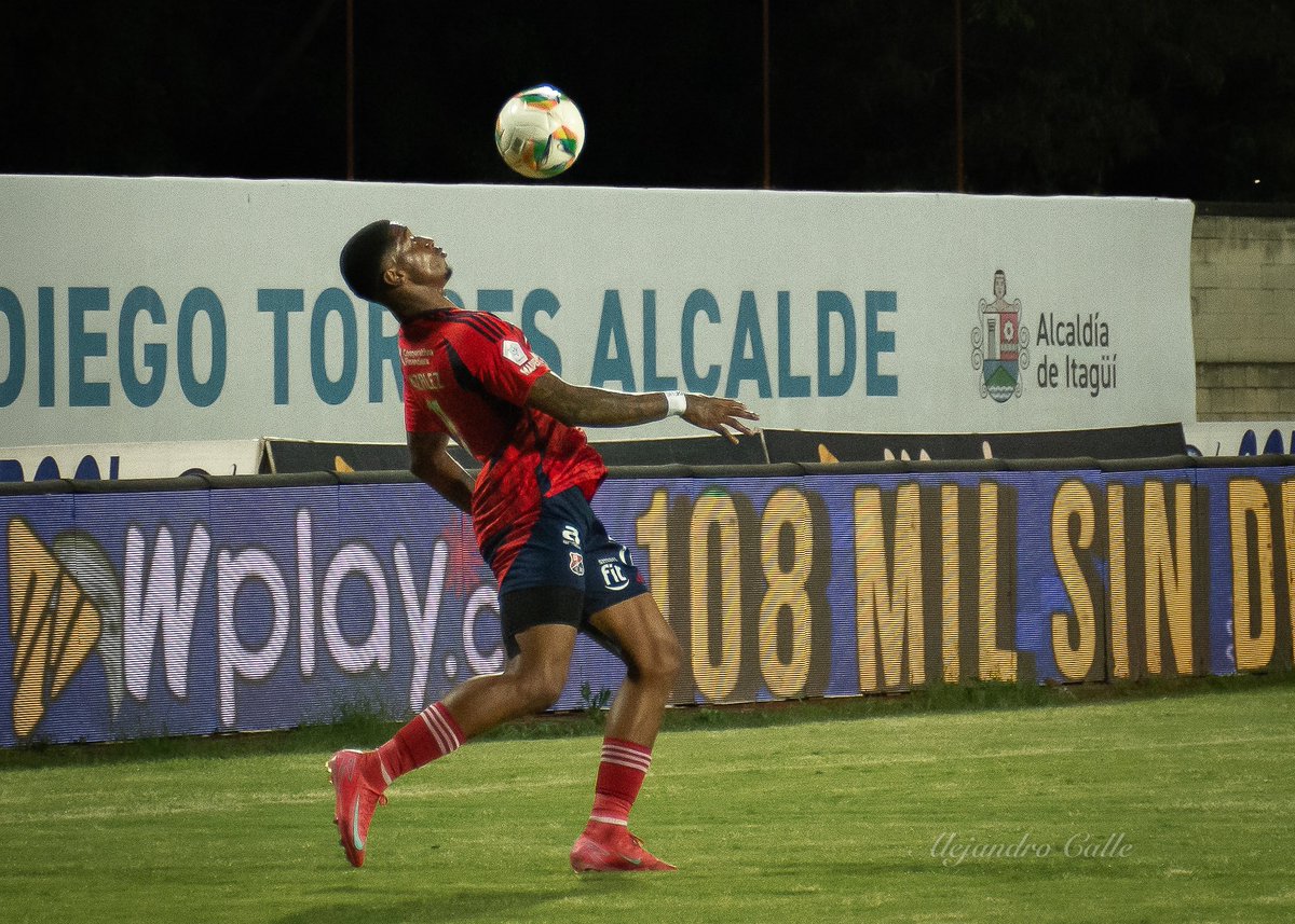 alejandro calle tweet media