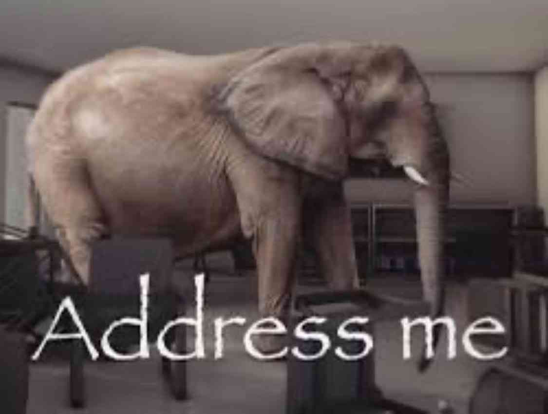 jel ⊹ ࣪ ˖ ໒꒱ tweet media