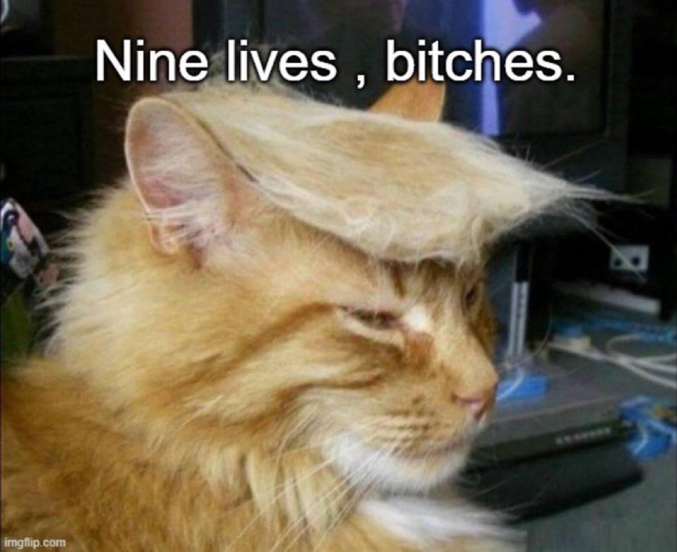 xenonwatch tweet media