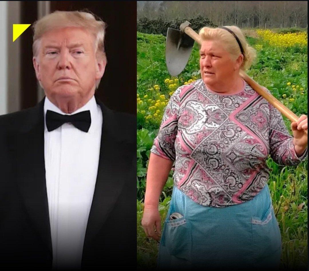 ⚠️ Após sofrer mais um atentado Donald Trump se muda para Pomerode SC e se dedica ao cultivo de batatas. "Aqui me sinto seguro, Santa Catarina é o meu país" declarou o presidente estadunidense.