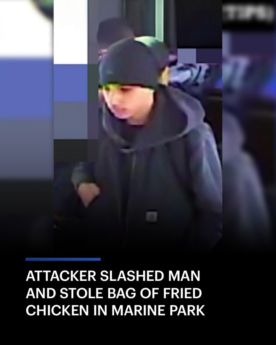 News12's tweet image. SUSPECT SOUGHT: Police are looking for the person who slashed a teen in Marine Park and stole his fried chicken. 

bit.ly/48r0fgN

#News12BK #MarinePark #Crime